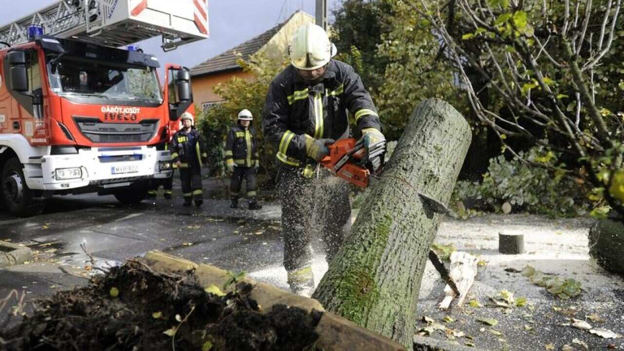 A firefighter removed an uprooted tree trunk in Budapest