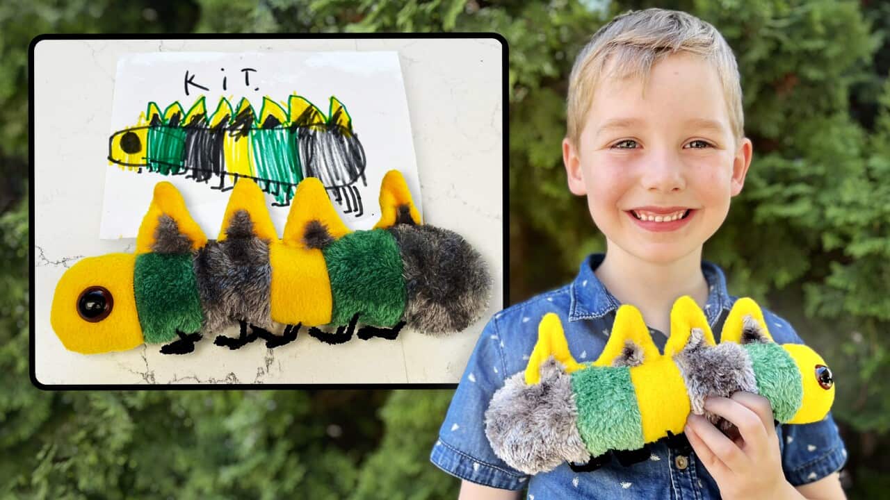 Boy carries caterpillar toy with a photo of a caterpillar drawing.