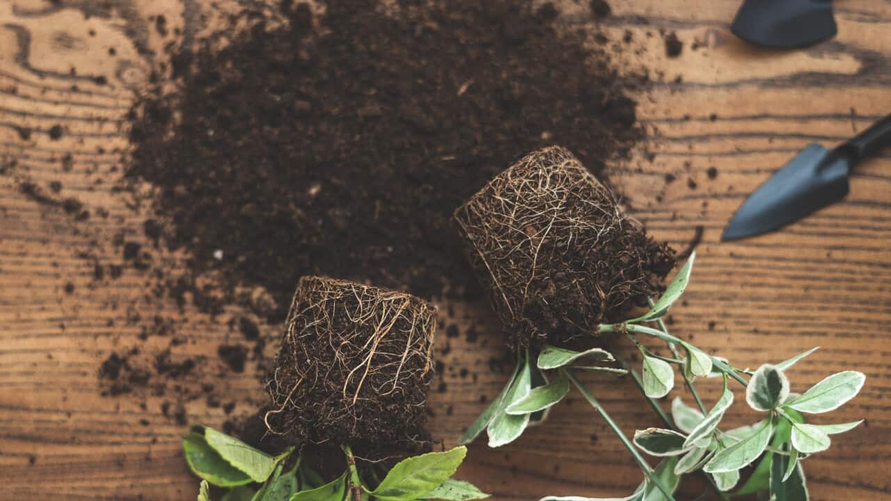 Image for read more article 'READ MORE'