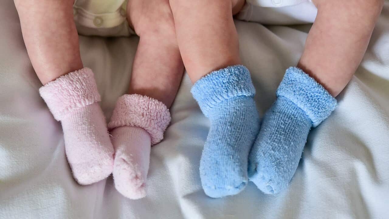 A set of Queensland twins have been identified as just the second semi-identical twins in the world and the first to be discovered during pregnancy.