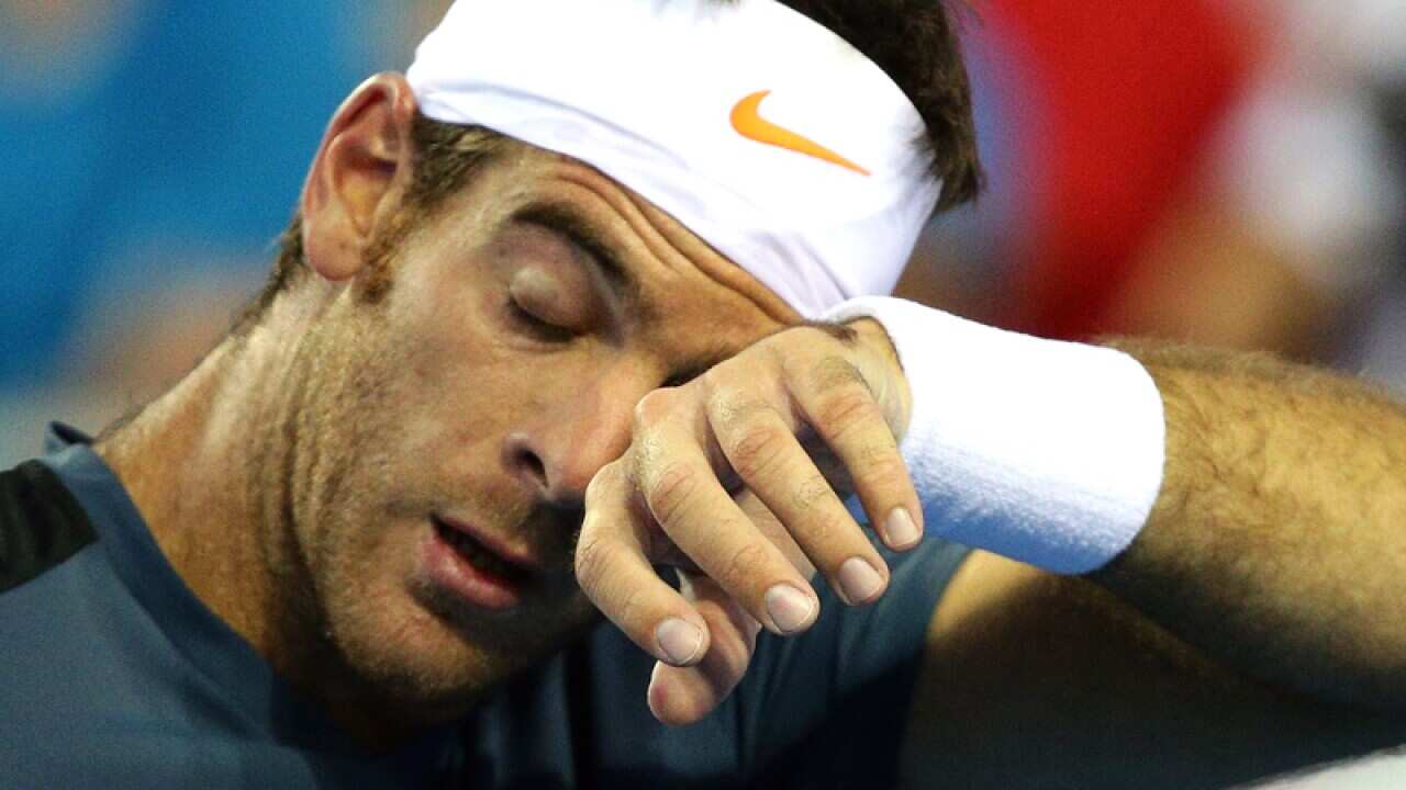 Del Potro eyes men's tennis top four