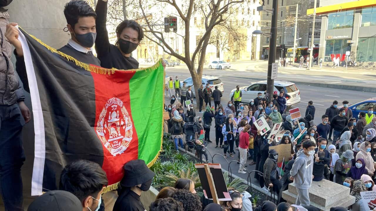 Hundreds rallied in Adelaide on Saturday, protesting against the Taliban's violence in Afghanistan.