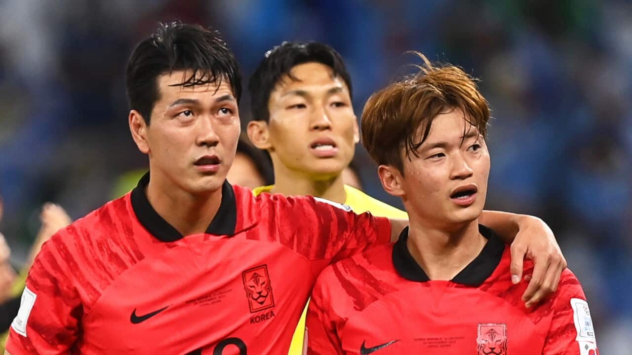 Image for read more article '更多內容'