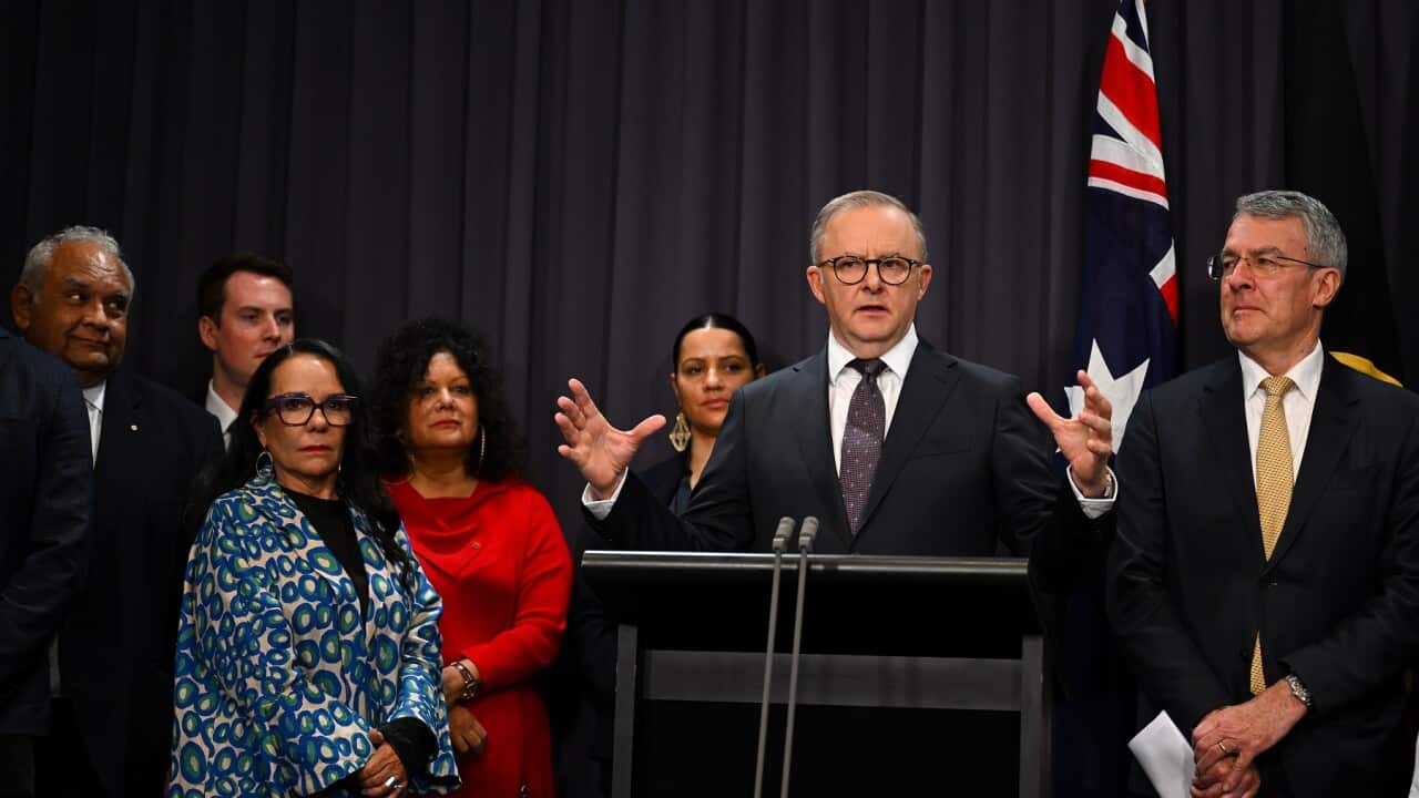 ANTHONY ALBANESE VOICE PRESSER