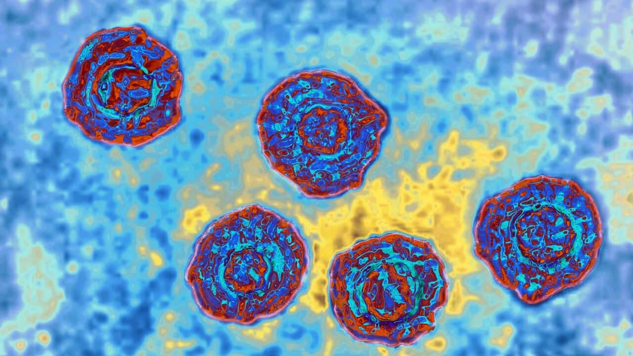 The hepatitis-C virus
