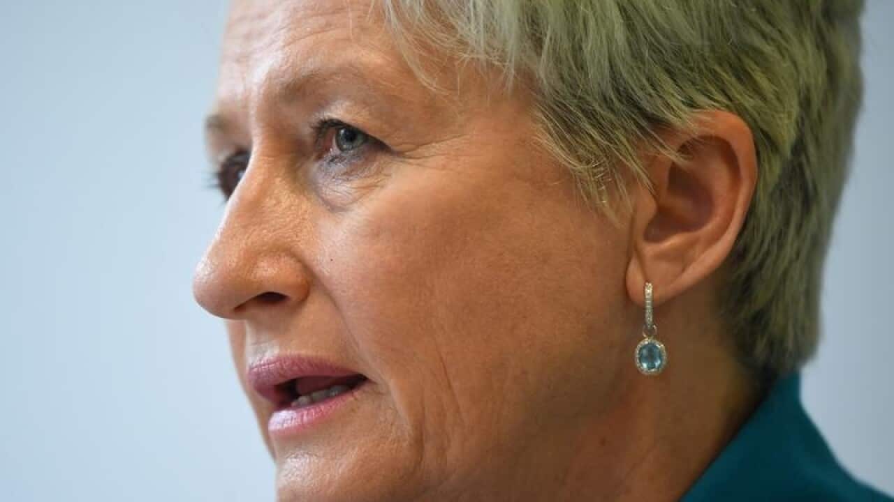Independent candidate for Wentworth Kerryn Phelps