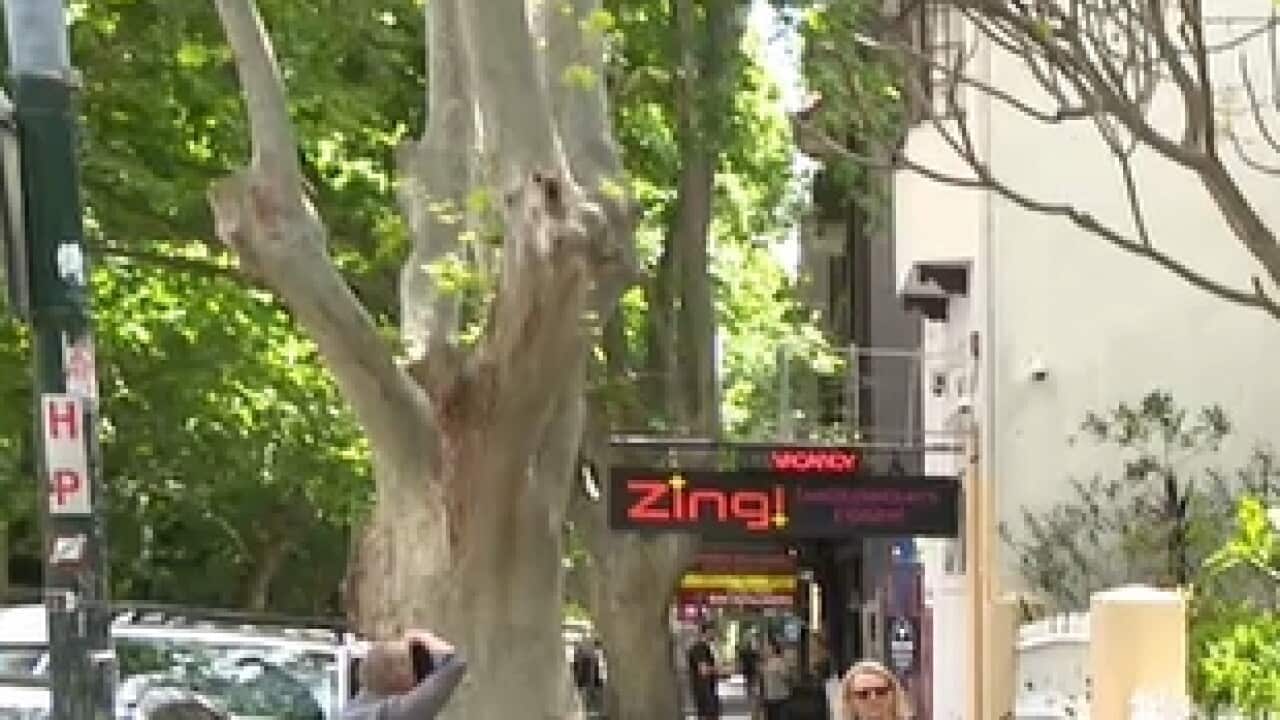 Image for read more article 'More from SBS Punjabi'