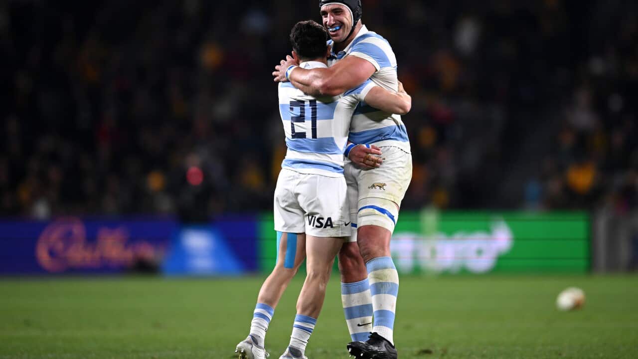 RUGBY ARGENTINA