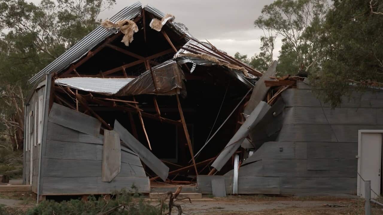 NSW THUNDERSTORM