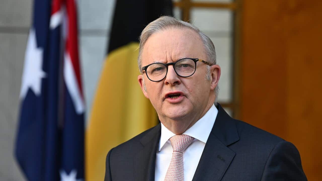 ANTHONY ALBANESE PRESSER