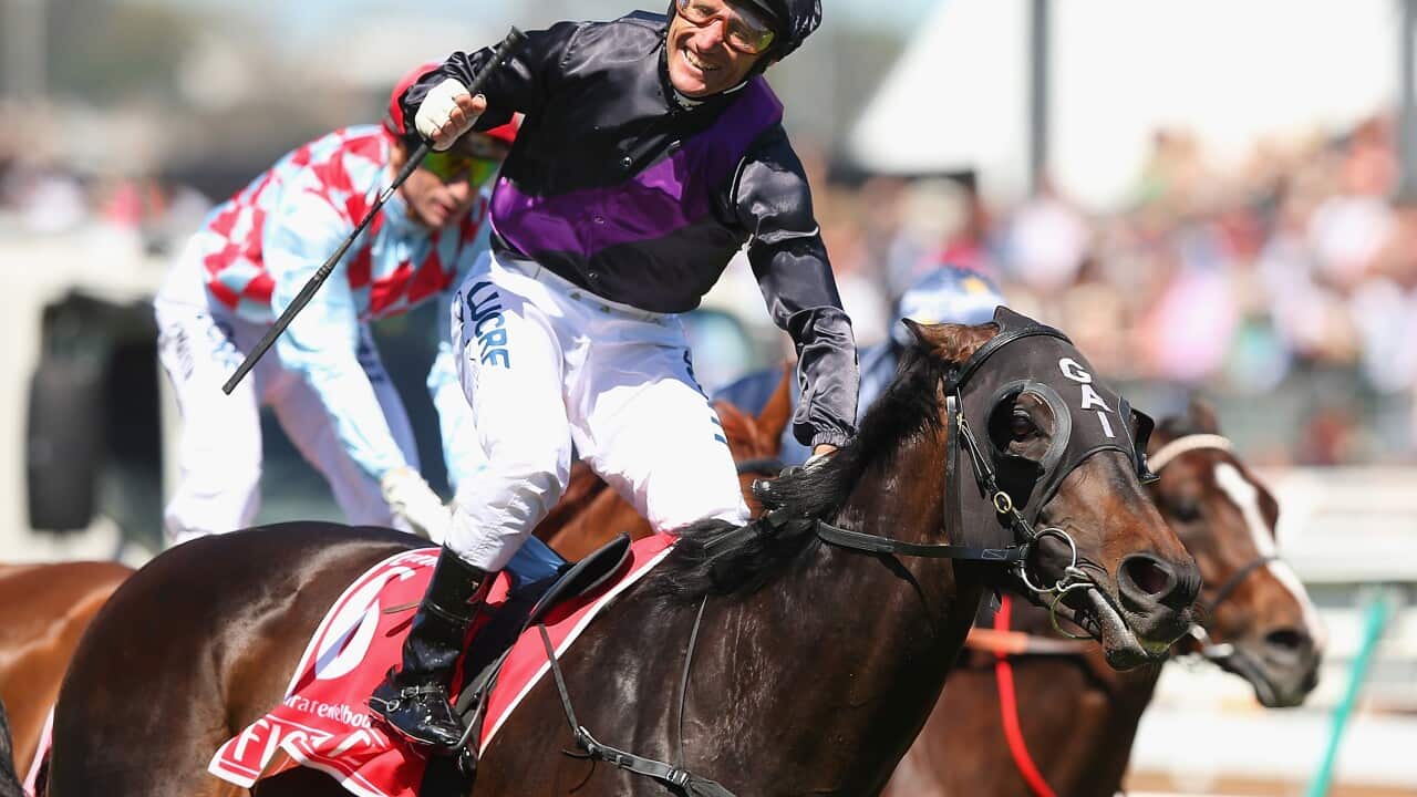 damien_oliver_fiorente_getty.jpg