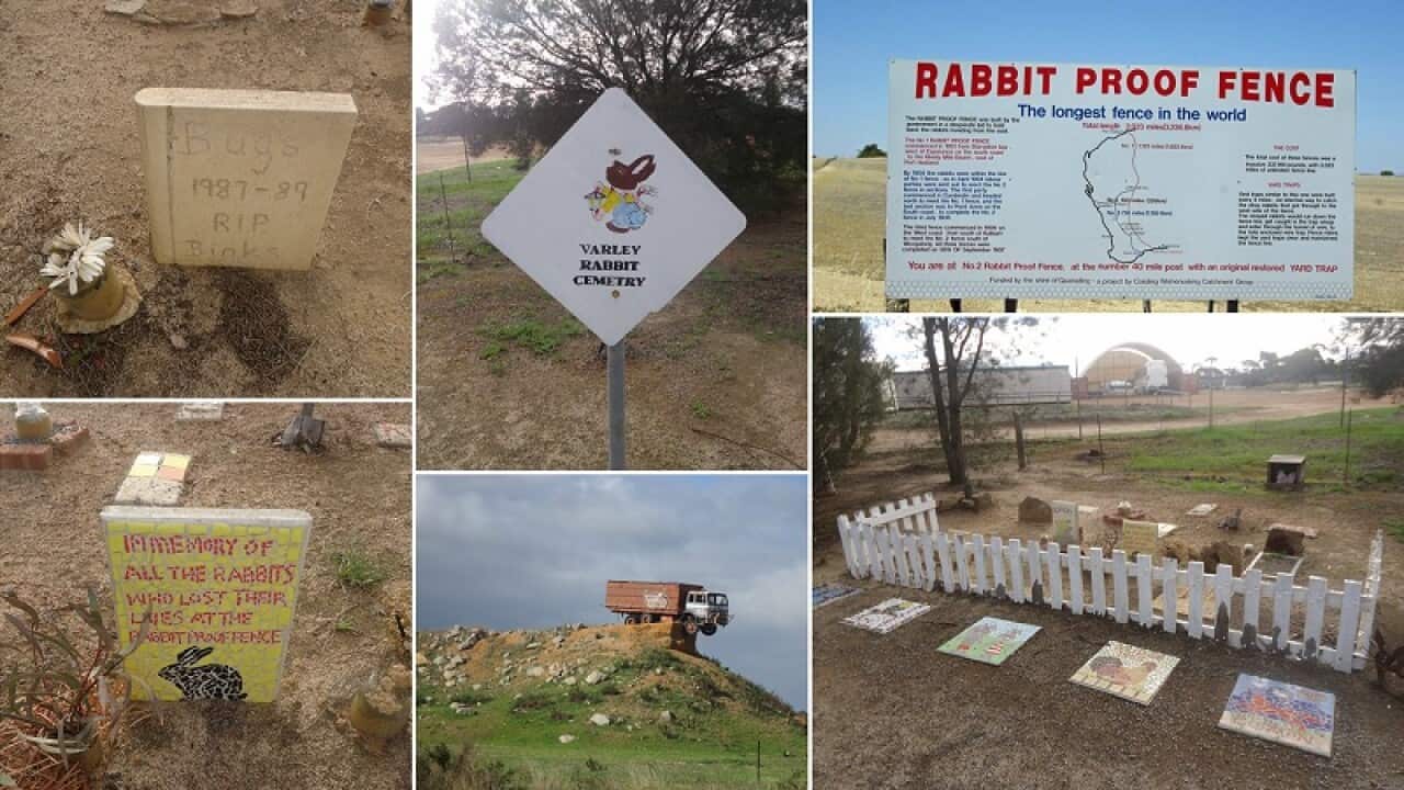 Varley Rabbit Cemetery