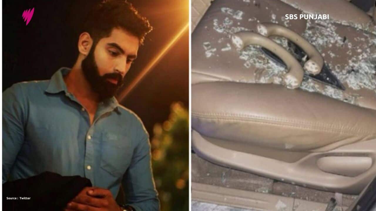 MP's 16x9 (Presentation) (6).jpg