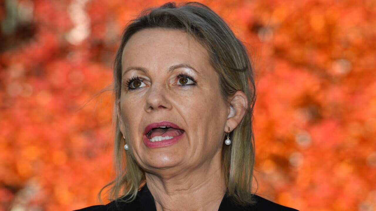 Sussan Ley speaks about her bill on the live export of sheep.