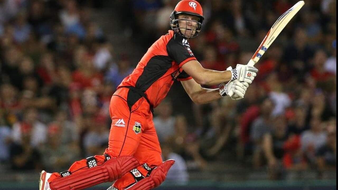 Cameron White of the Renegades.