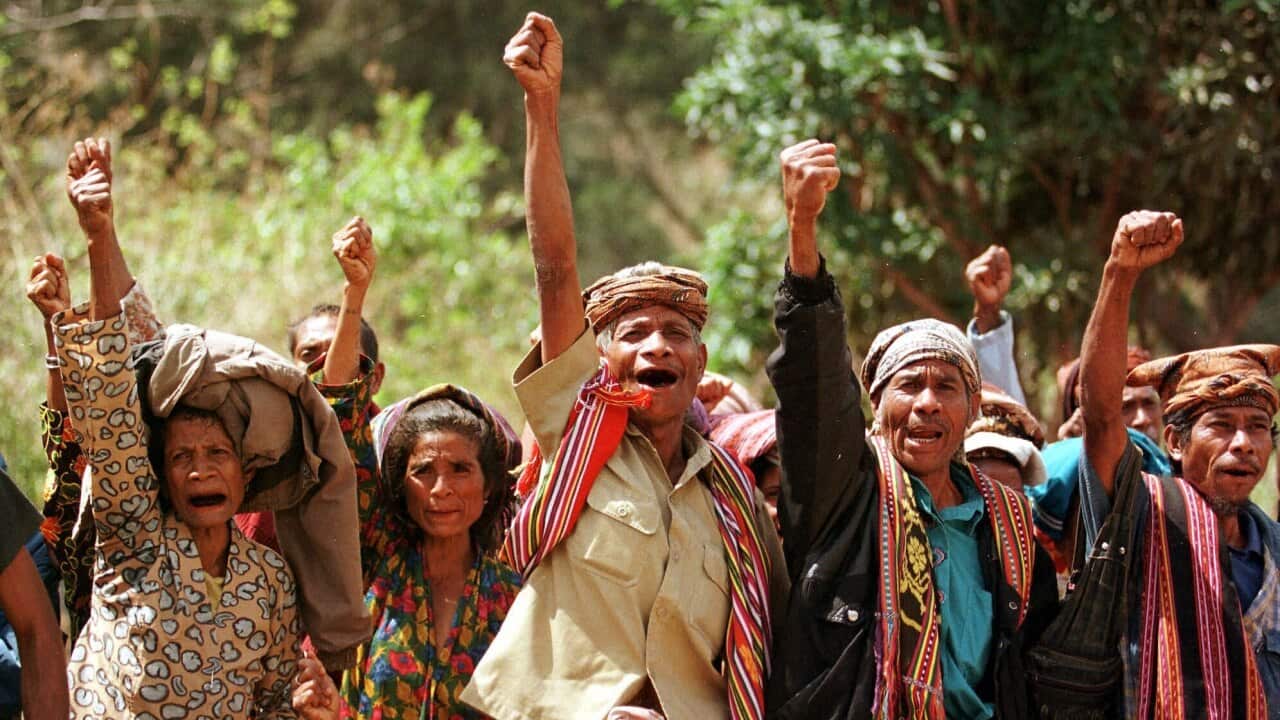 Image for read more article 'veja ainda'