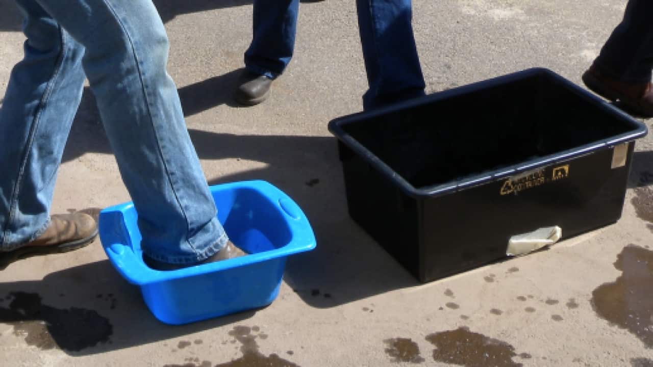 Australia's director of biosecurity: Unprecedented powers at Australian airports to compel all travellers returning from Indonesia to use foot mats and take other biosecurity directions