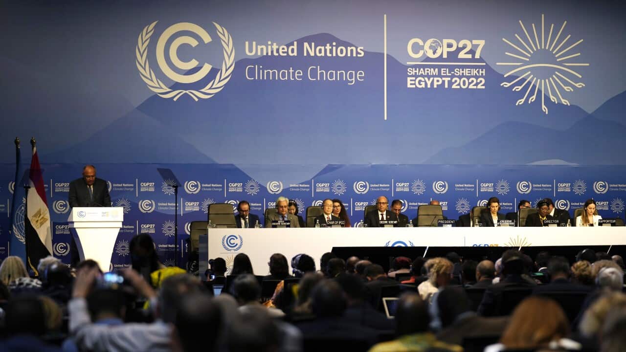 COP27 Climate Summit
