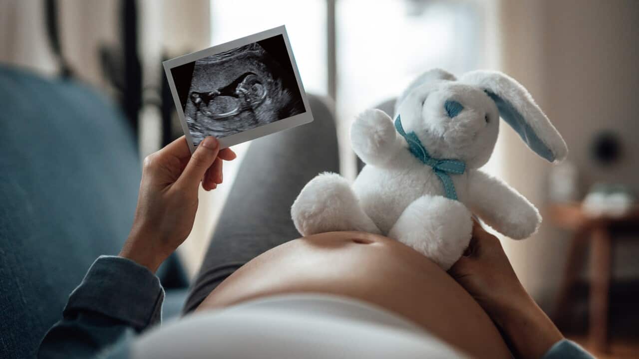 Image for read more article 'READ MORE'