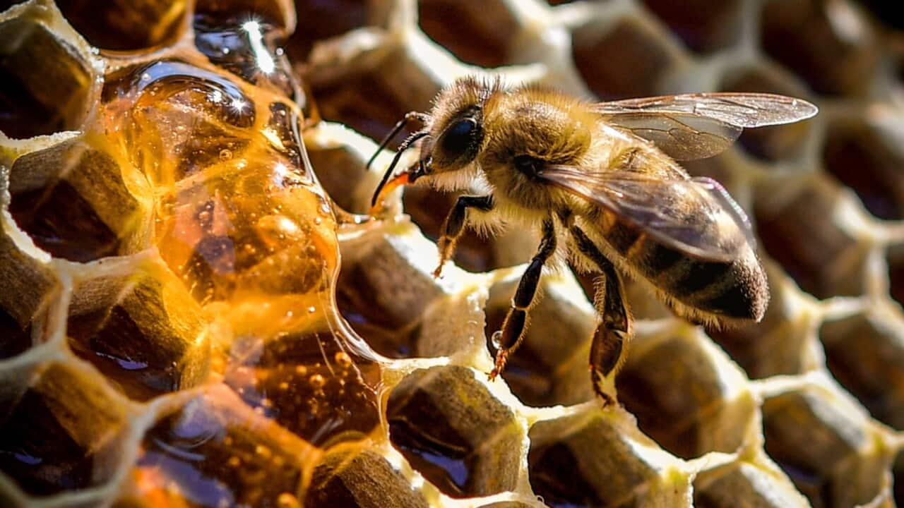 Image for read more article ''