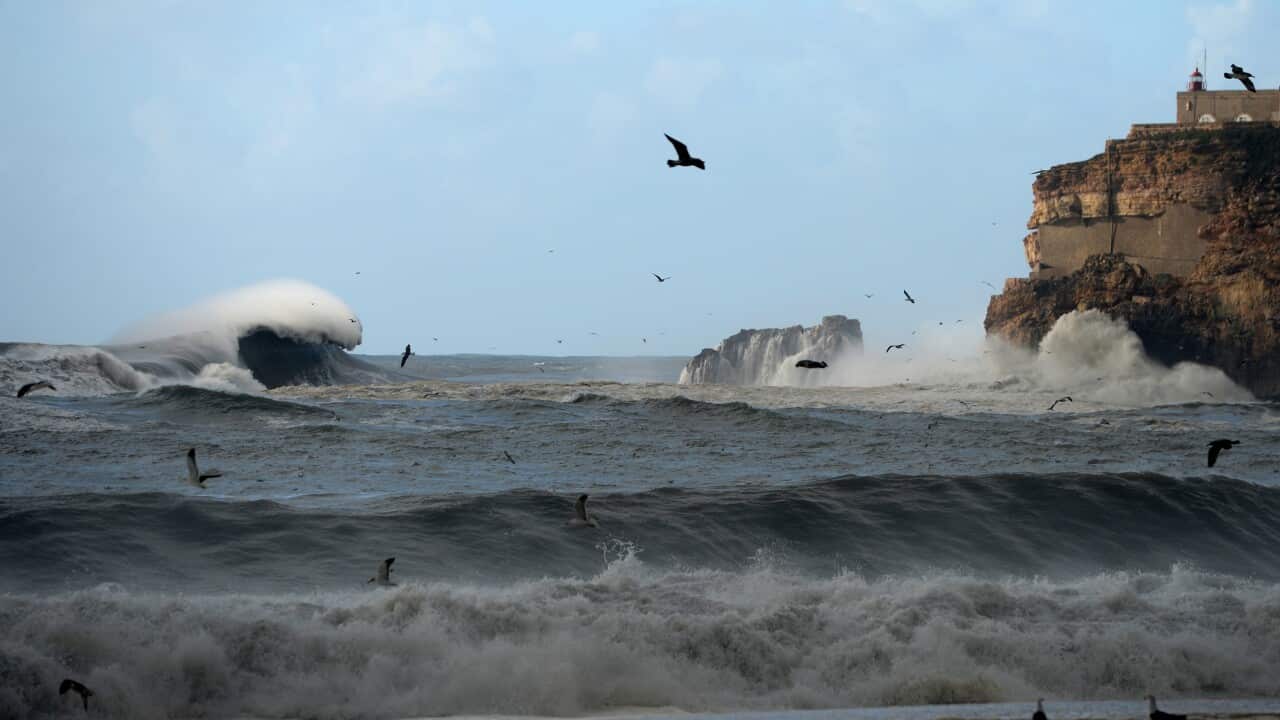 waves_portugal_140202_getty.jpg