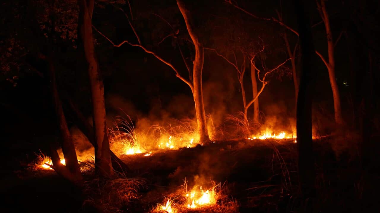 A small grass fire burned along the banks of the Katherine River not far from several long grass camps. (Andrew Quilty / Oculi for SBS)
