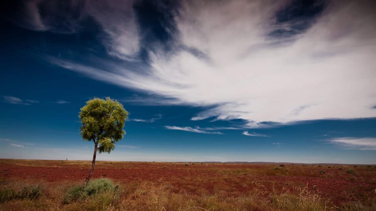 Image for read more article 'Gli episodi precedenti'