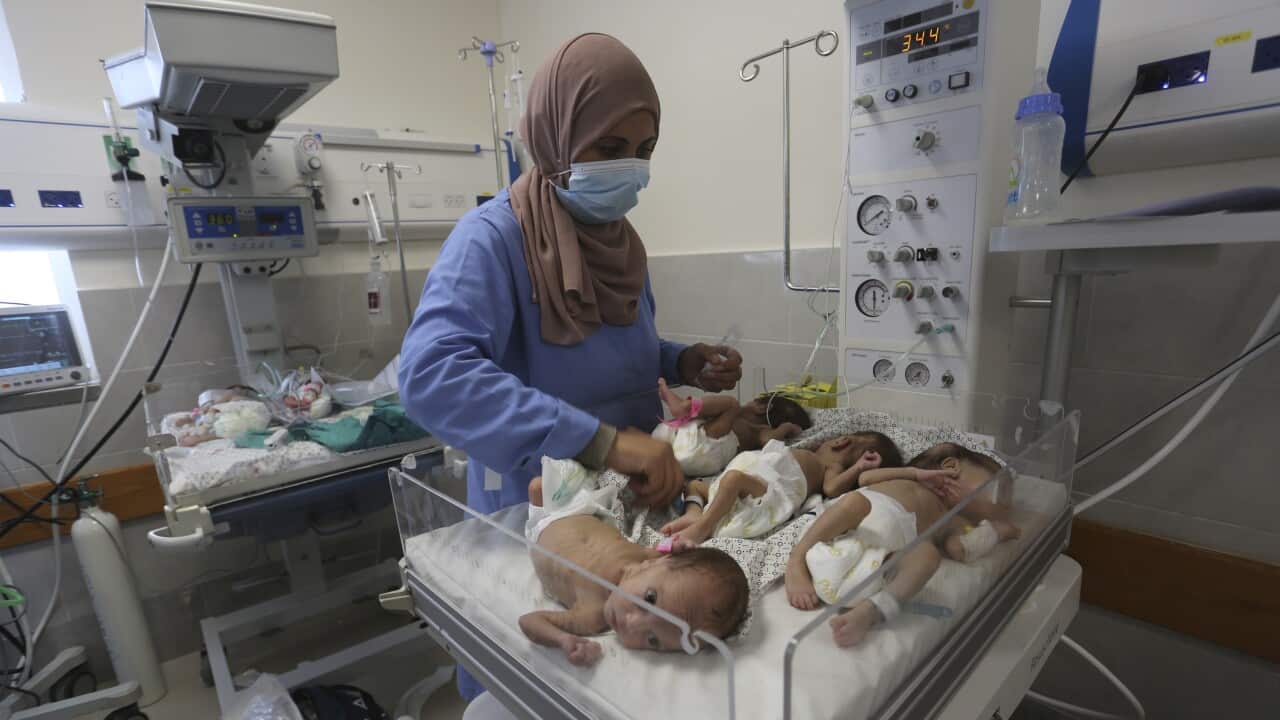 A nurse cares for prematurely born Palestinian babies that were brought from Shifa Hospital in Gaza City to the hospital in Rafah, Gaza Strip, Sunday, Nov. 19, 2023. (AP Photo/Hatem Ali).