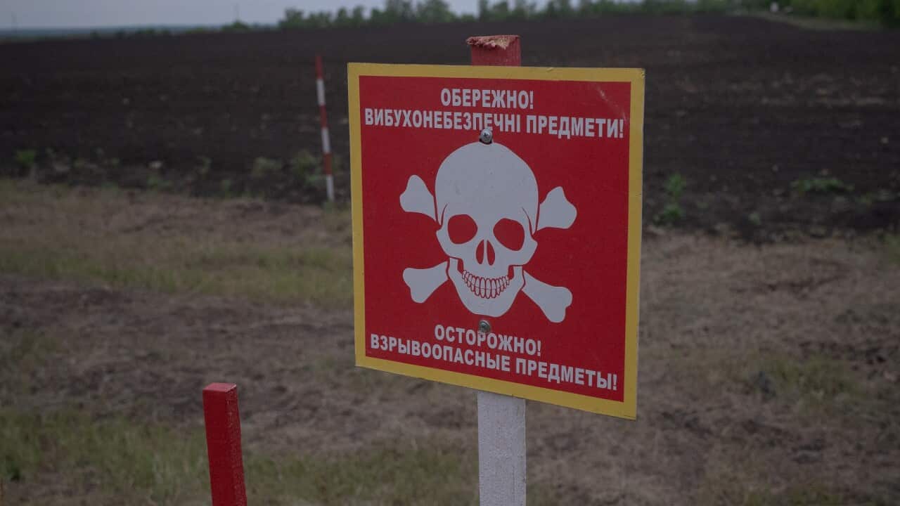 HALO Trust Clears Agricultural Land Of Landmines In Kharkiv Oblast During Ongoing Russian-Ukrainian War
