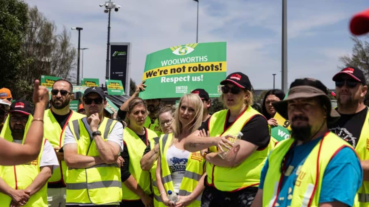 Screenshot 2024-12-03 164241.jpg