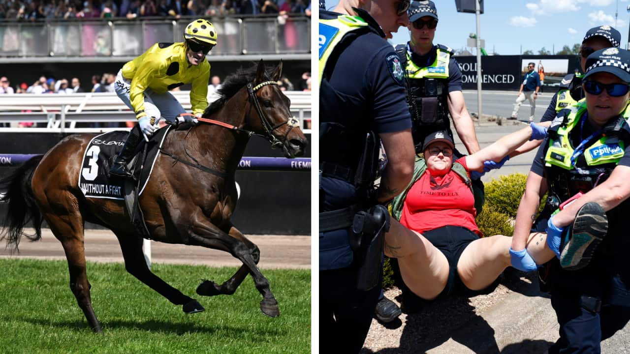 Melbourne Cup: Without A Fight wins, protesters cause disruption - Vimarsana News