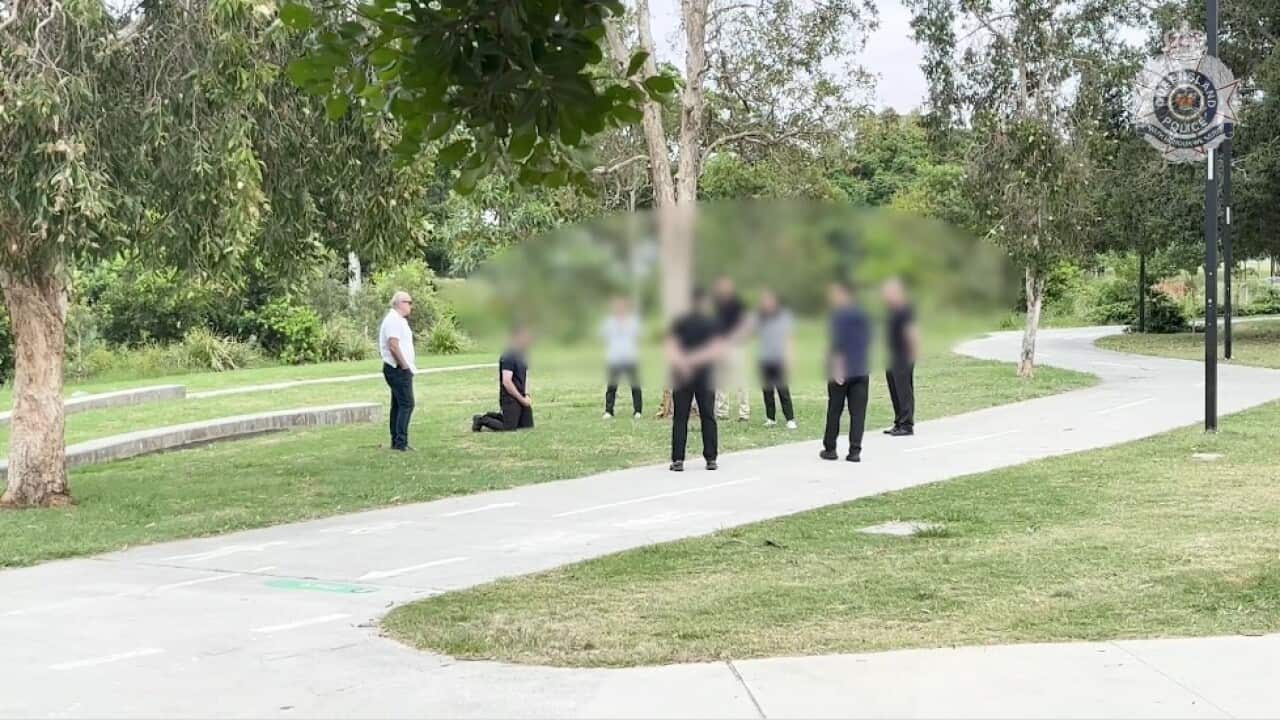 Screenshot 2026-02-17 122856.jpg