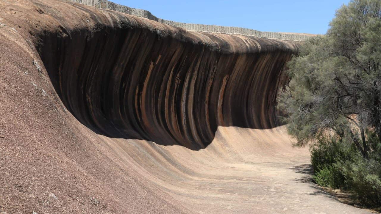 Image for read more article 'READ MORE'