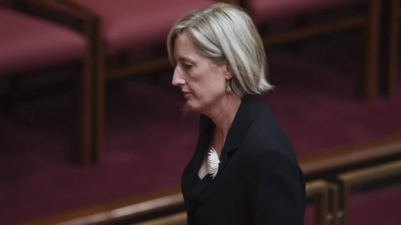 Labor Senator Katy Gallagher in parliament.