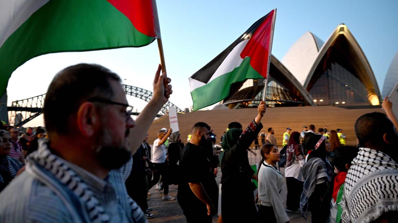 FREE PALESTINE RALLY SYDNEY
