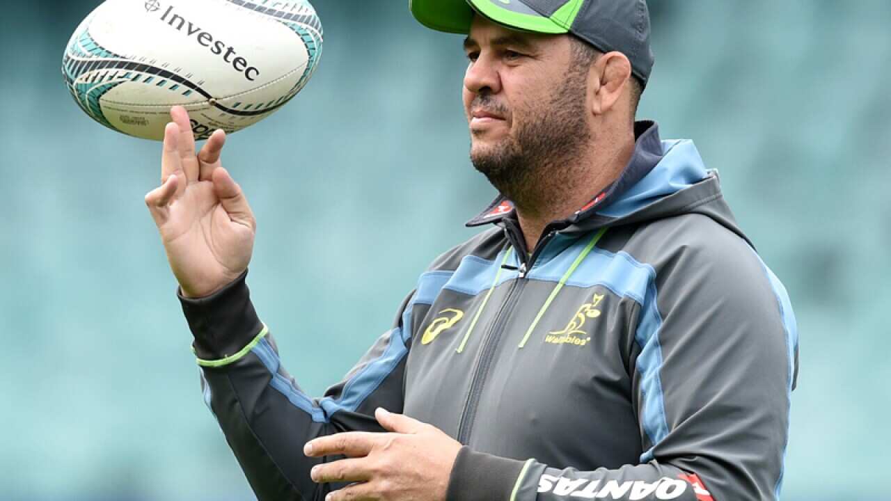 Australian rugby union coach Michael Cheika