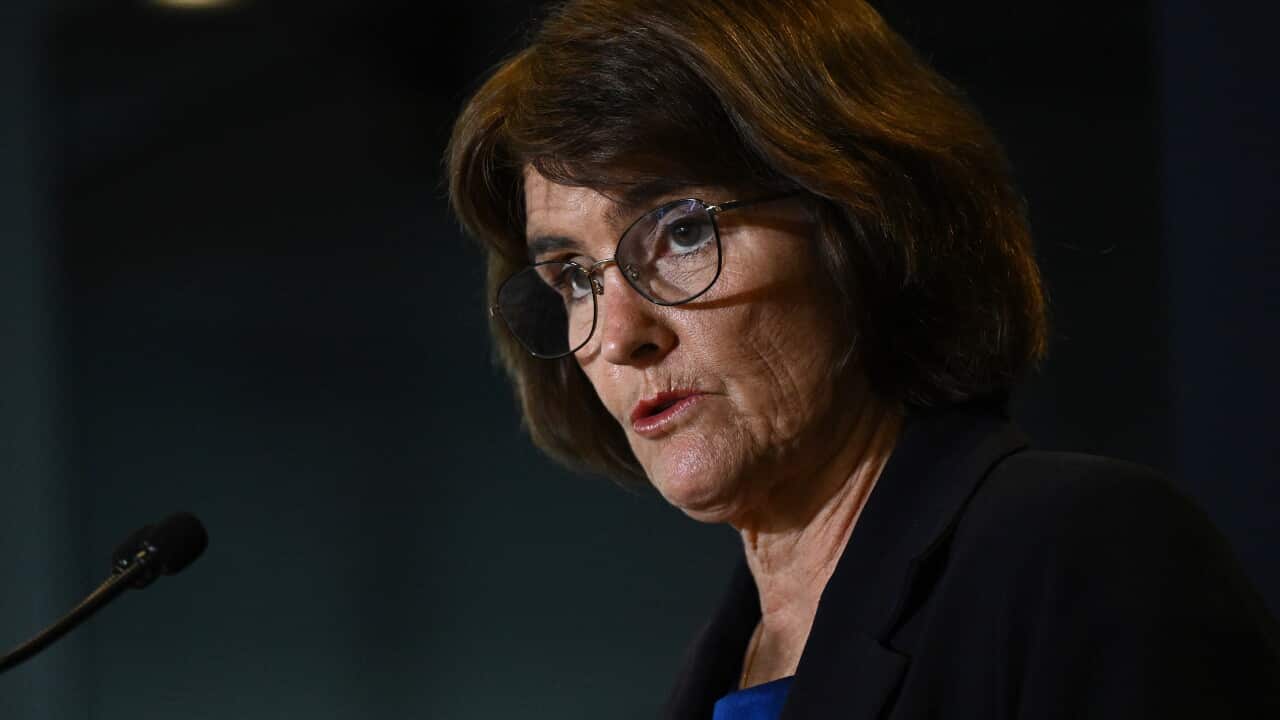 Reserve Bank governor says Australia ‘well placed’ to handle volatility amid tariff turmoil