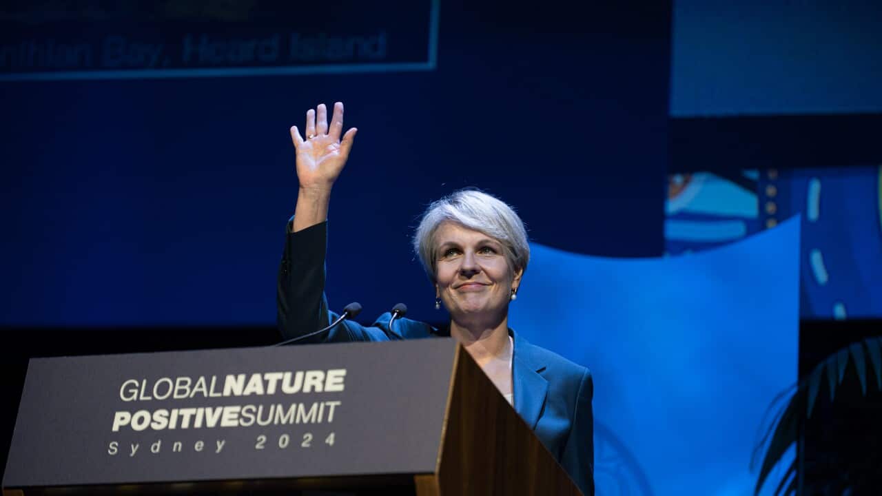 GLOBAL NATURE POSITIVE SUMMIT
