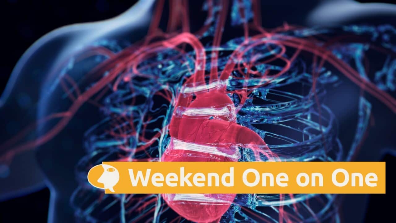 A graphic representation of the human heart (Getty).jpg