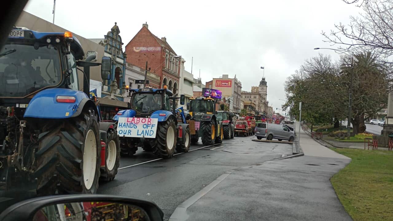A convoy of tractors, some with signs that say “LABOR HANDS OFF OUR LAND,“ drives down a street lined with historical brick buildings and trees on a cloudy day.