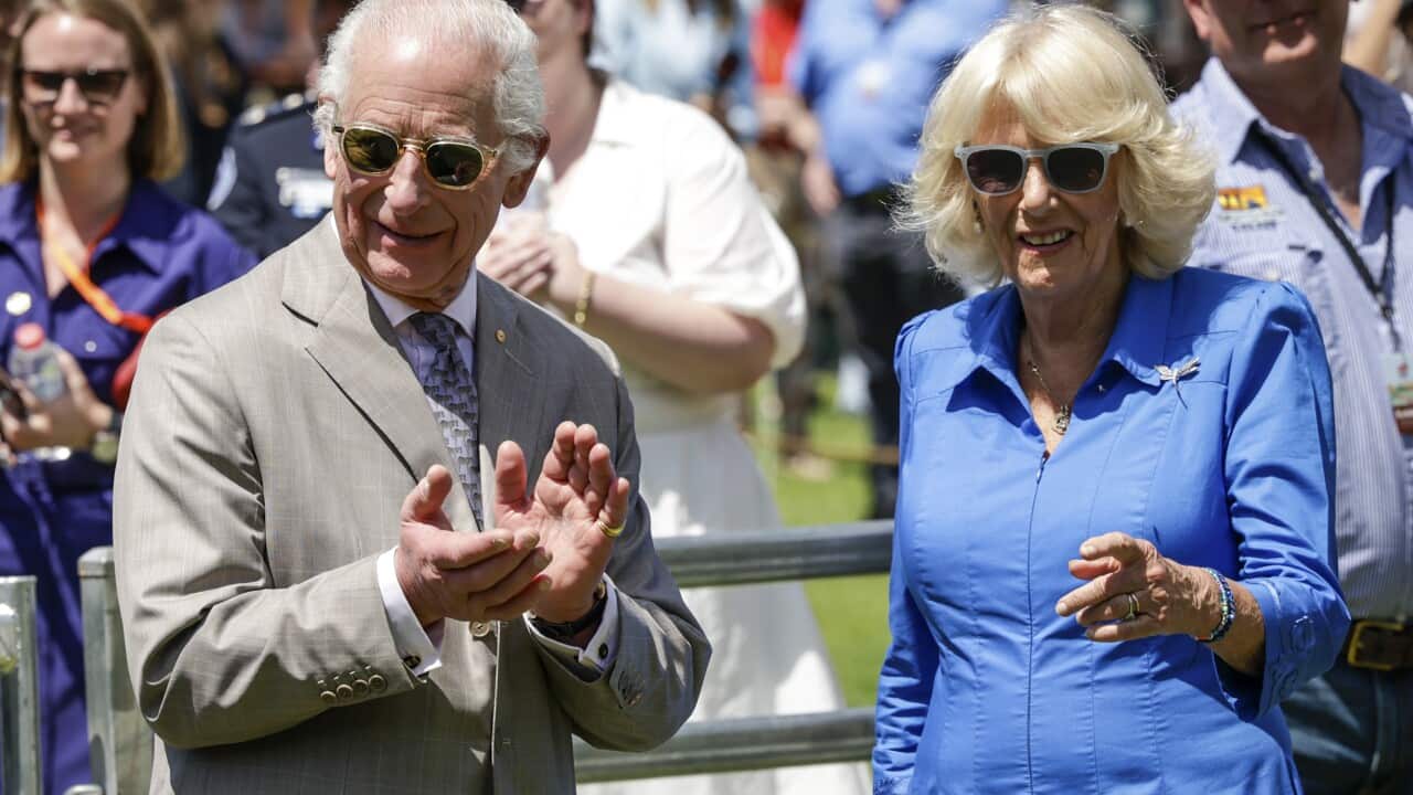 Image for read more article 'READ MORE'