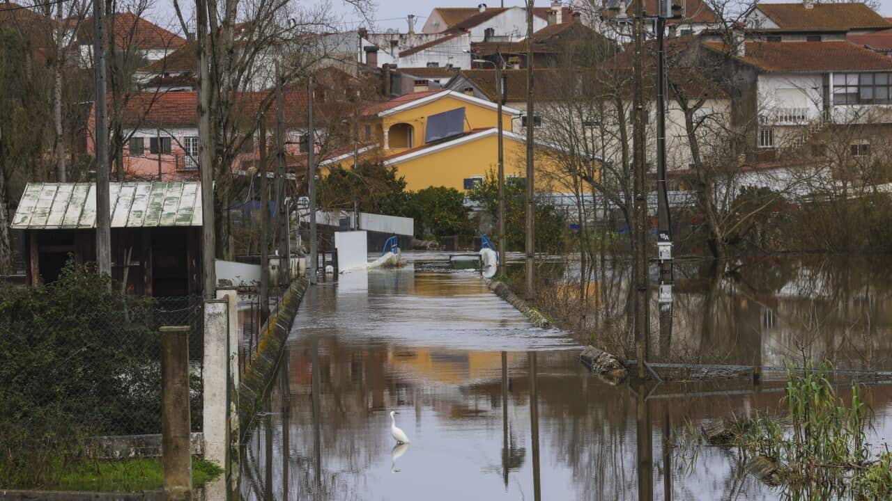 Portugal on high alert as storms cause more damage