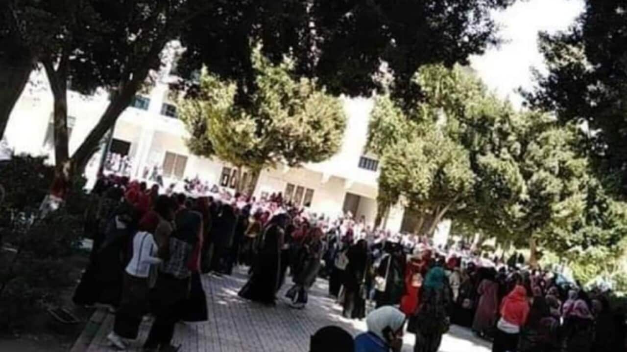 Students protest in Assiut university