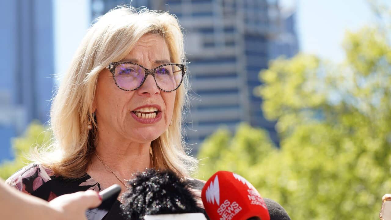 Rosie Batty speaks to the media outside the Family Court of Australia in Melbourne.
