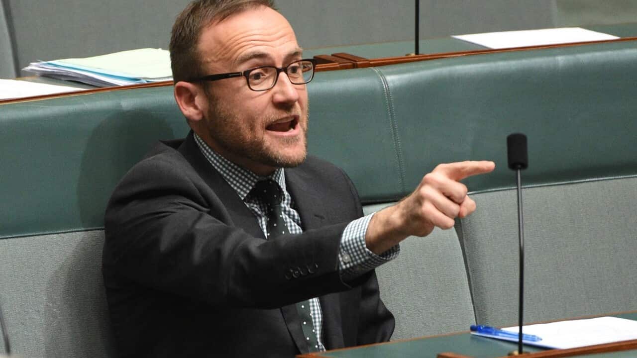 Australian Greens Member for Melbourne Adam Bandt