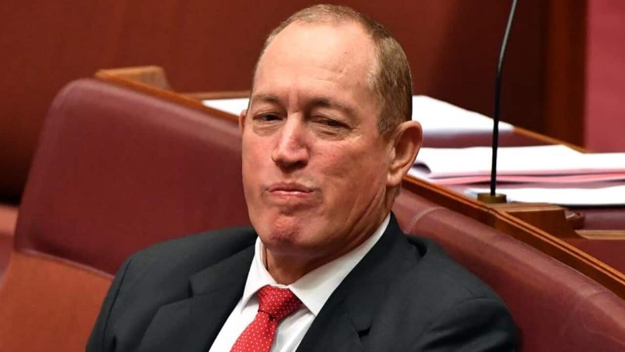 Senator Fraser Anning blamed the attack on 50 worshippers at mosques last month on Muslim migrants.