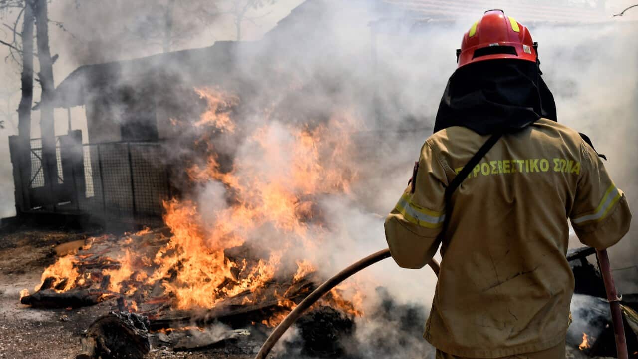 GREECE WILDFIRE