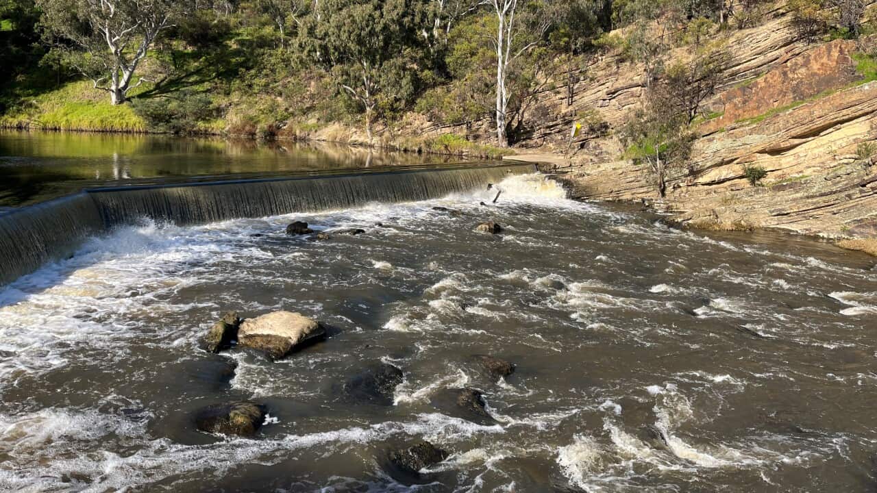 Dights Falls, Victoria (SBS Kalache).jpg
