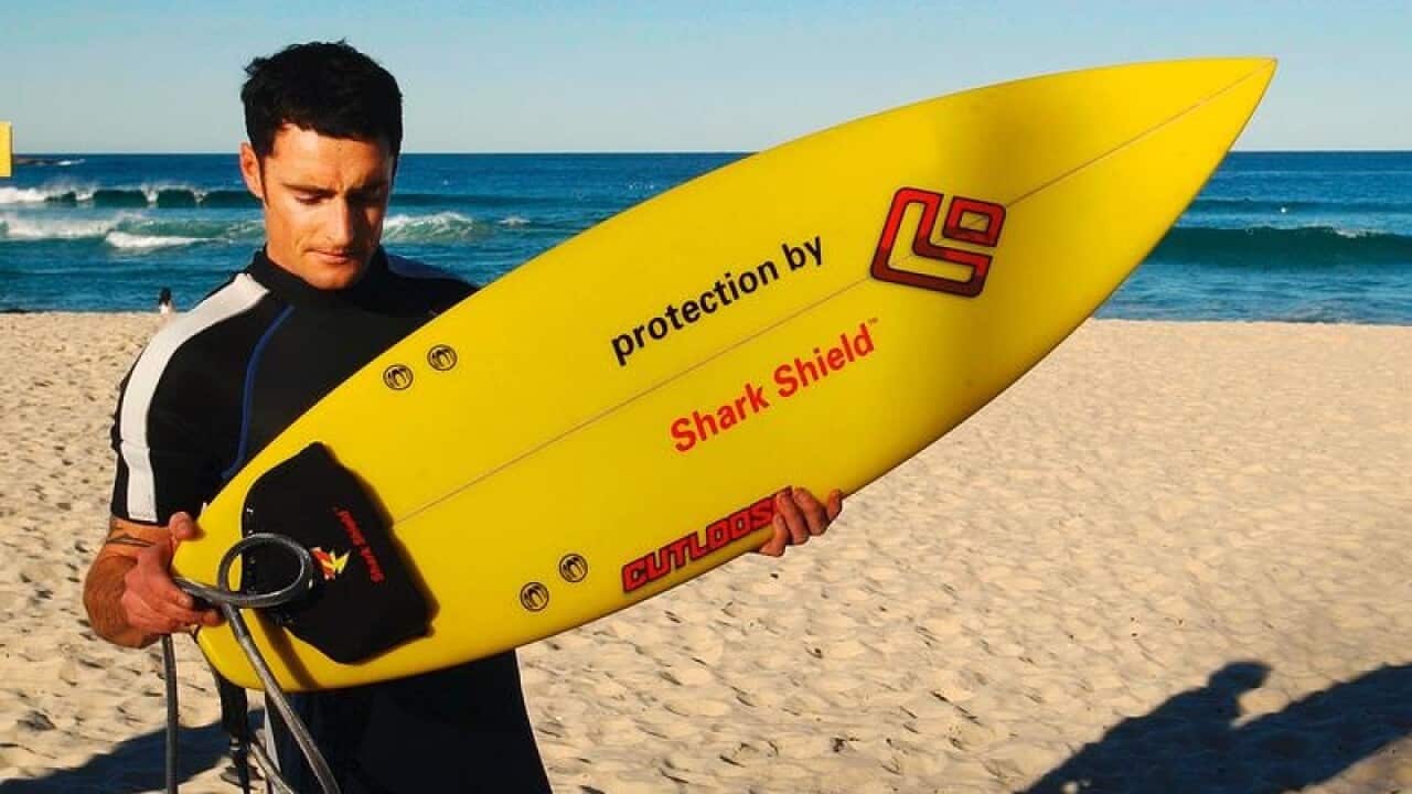Sydney surfer Michael James checks out the new Shark Sheild surfboard