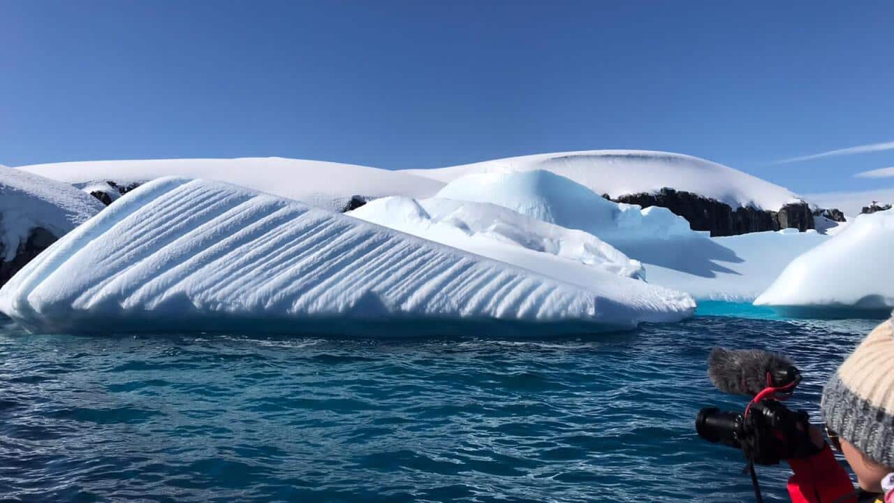 Image for read more article 'READ MORE'